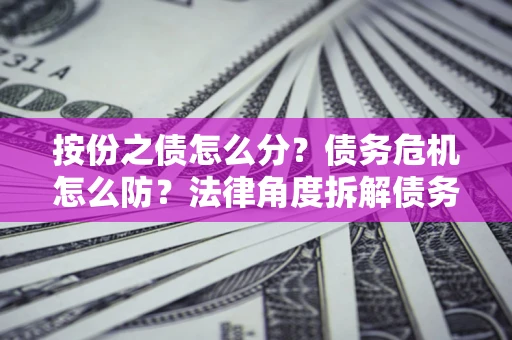 武汉按份之债怎么分？债务危机怎么防？法律角度拆解债务分配与风险自保指南