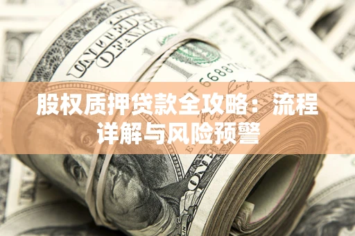 武汉股权质押贷款全攻略：流程详解与风险预警