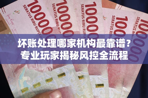 武汉坏账处理哪家机构最靠谱？专业玩家揭秘风控全流程