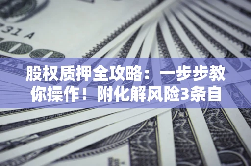 武汉股权质押全攻略：一步步教你操作！附化解风险3条自救法则