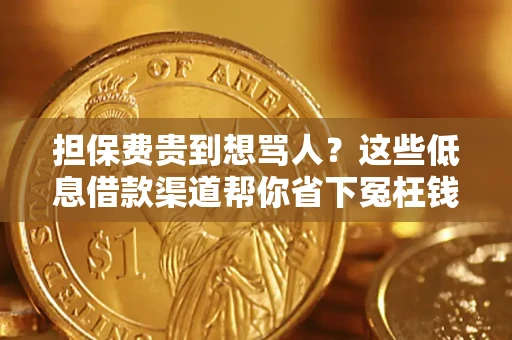 武汉担保费贵到想骂人？这些低息借款渠道帮你省下冤枉钱