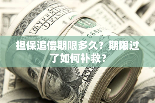 武汉担保追偿期限多久？期限过了如何补救？