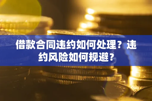 武汉借款合同违约如何处理？违约风险如何规避？