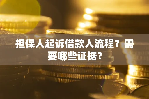 武汉担保人起诉借款人流程？需要哪些证据？