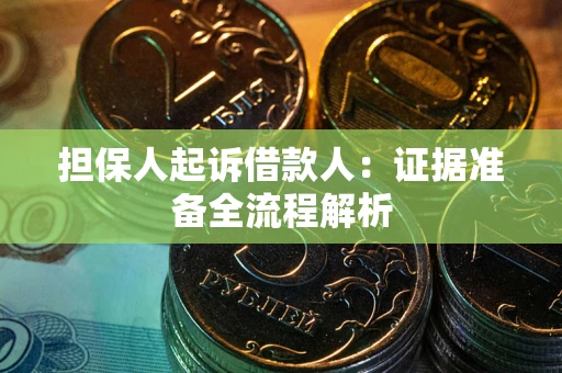 武汉担保人起诉借款人：证据准备全流程解析