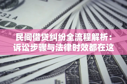 武汉民间借贷纠纷全流程解析：诉讼步骤与法律时效都在这儿了