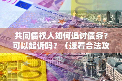 武汉共同债权人如何追讨债务？可以起诉吗？（速看合法攻略）