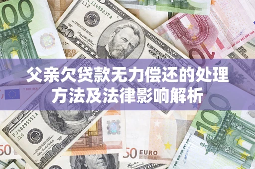 武汉父亲欠贷款无力偿还的处理方法及法律影响解析