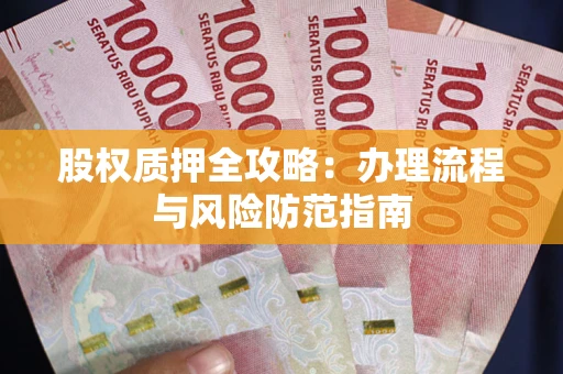 武汉股权质押全攻略：办理流程与风险防范指南