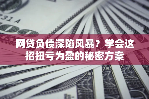 武汉网贷负债深陷风暴？学会这招扭亏为盈的秘密方案